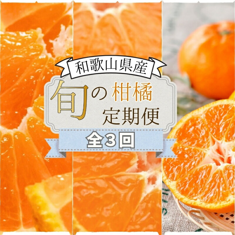 【ふるさと納税】【全3回定期便】みかんの地和歌山から厳選してお届け！　人気の柑橘定期便/みかん 柑橘 果物 フルーツ 定期便 温州 ミカン 不知火 でこぽん せとか オレンジ