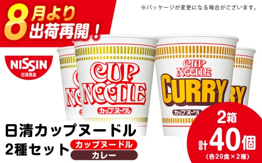 日清 ヌードル2種セット カップヌードル・カレーヌードル各20食 ラーメン 麺 即席麺 麺類 カップ麺 インスタント カップラーメン