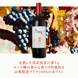 打出の小槌 カベルネ・ソーヴィニヨン 2022　2本　ワイン 赤ワイン カベルネ・ソーヴィニヨン 2022 750ml 2本 数量限定 赤 国産ワイン 山梨県産 白州産 北杜市産 完熟  黒系果実 オ