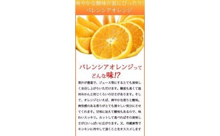 みかん 蜜柑 フルーツ 果物 くだもの オレンジ バレンシアオレンジ / 秀品　希少な国産バレンシアオレンジ　2.5kg　※2024年6月中旬頃～6月下旬頃順次発送（お届け日指定不可）【uot752】