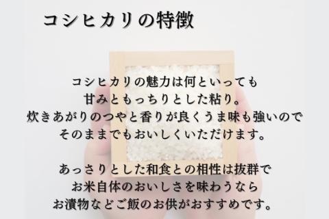 米 令和5年 特別栽培米 コシヒカリ 精米 5kg  / マッキーファーム / 富山県 朝日町 [34310317] お米 白米 こしひかり 美味しい 農家 直送