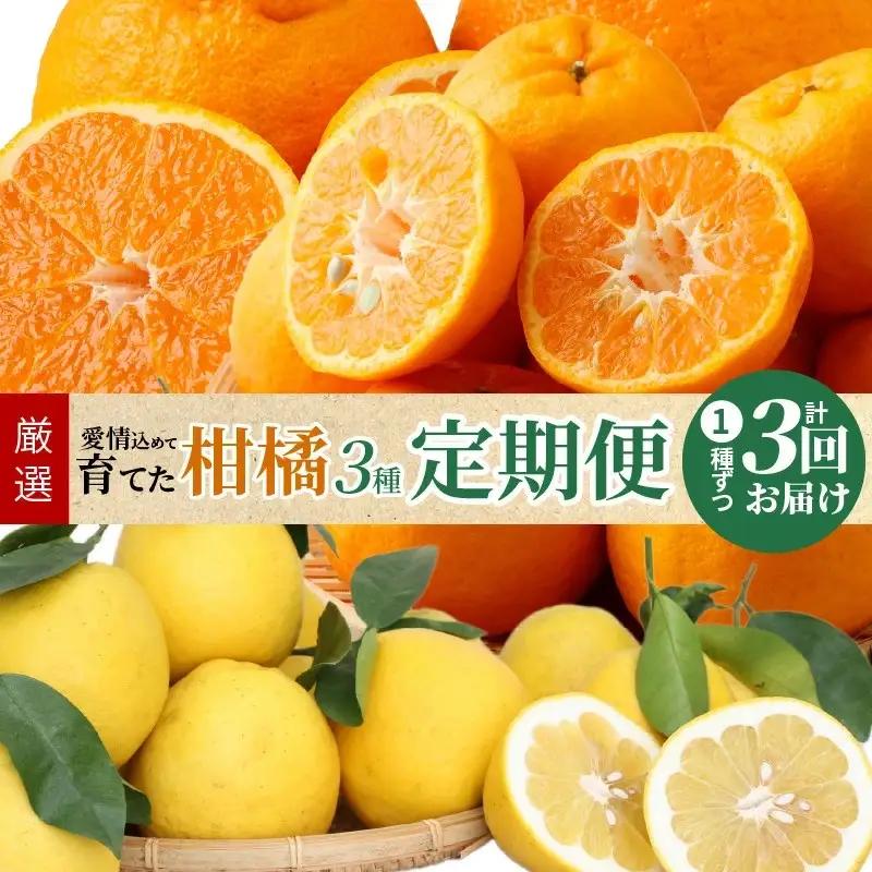 S040-013A_【定期便 3回】厳選！天草 下浦地区の農家が愛情込めて育てた柑橘3種〈先行予約〉 / ポンカン 不知火 晩柑 柑橘 みかん フルーツ