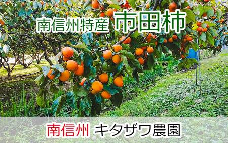 【数量限定】市田柿 1kg 家庭用
