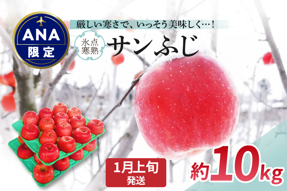 【ANA限定】【2025年1月上旬発送】 りんご 約10kg サンふじ 〈氷点寒熟〉青森県産