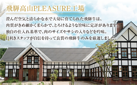 【ふるなびWEEK対象】飛騨牛 定期便 おすすめ全3回 定期便 FN-Limited