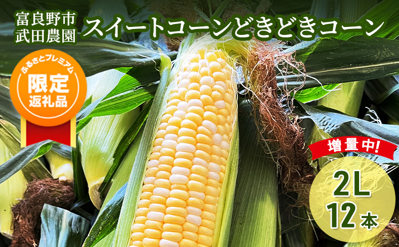 2026年夏発送！【ふるプレ限定品】スイートコーン どきどきコーン 2L 12本 ［武田農園とれたて直送］北海道 富良野産 とうもろこし 野菜 新鮮 とうきび 甘い 産地直送 先行予約 限定