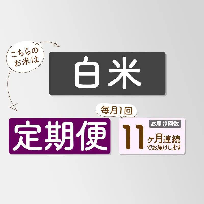 《新米先行受付》《定期便11ヶ月》【白米】あきたこまち 10kg 秋田県産 令和8年産 こまちライン