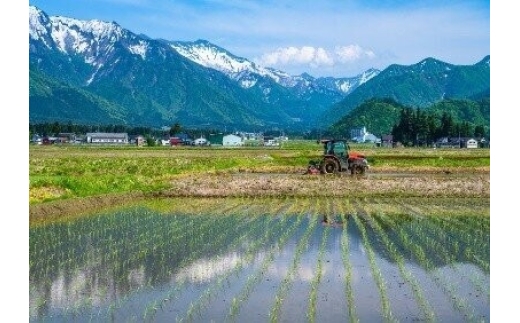 搾らず、袋から滴る雫だけを集めた大吟醸