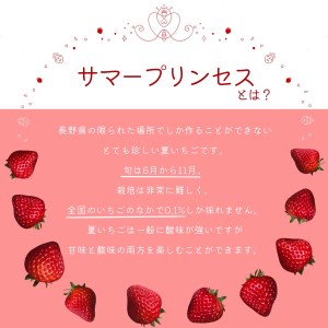 【先行予約R6年 7月以降順次発送】大空夏いちご農園　希少な夏いちご『サマープリンセス』１箱（2パック入り）【お届け希望日をご指定下さい（７月下旬から11月中旬まで）】