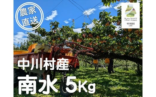 【農家直送】森越農園のなし（南水）約５Kg