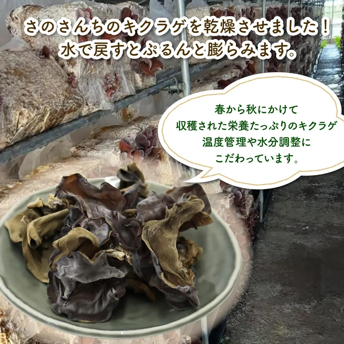 乾燥キクラゲ 100g 25g×4袋 キクラゲ
