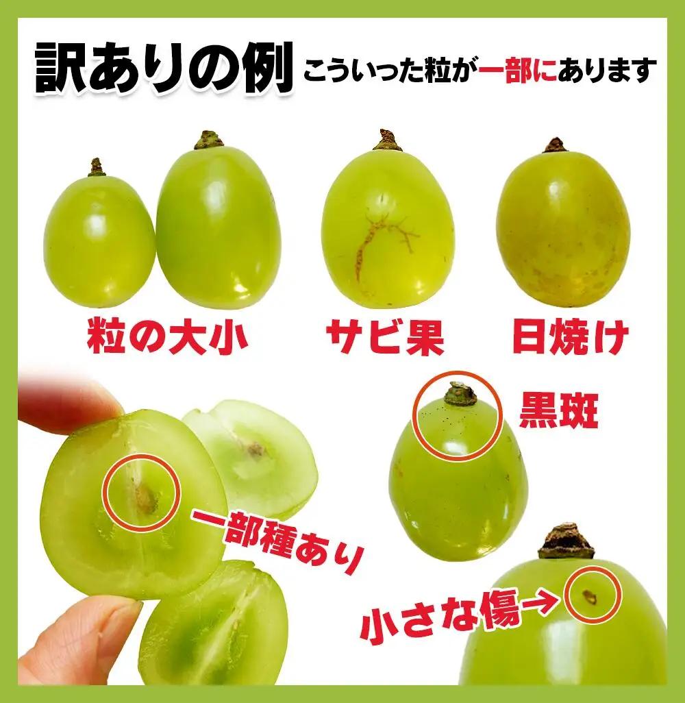 訳あり シャインマスカット 家庭用 約2kg（4~6房）※最低1.8kg以上 | シャインマスカット