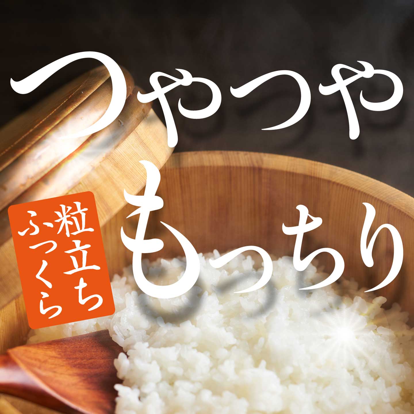 あきさかり 玄米 5kg×3回 【3か月定期便】《令和8年新米》 みはら高原米 浮城 アキサカリ お米 米 玄米 ごはん ご飯 おにぎり お弁当 常温 広島県 三原市 220131