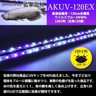 ふるさと納税 小牧市 スリム&高耐久!金龍を美しく、UV-Aチップ配合の水中LED|AK-120UV-EX[172C15] |  | 01