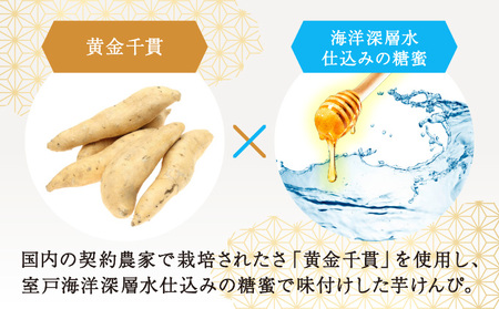 【３回定期便】炭焼きかつおのたたき　塩けんぴ１袋セット　カット済　200g　薬味付き　1.5～2人前　カツオのたたき 鰹 カツオ たたき 海鮮 冷蔵 訳あり 惣菜 16500円 魚介 お手軽 おかず 