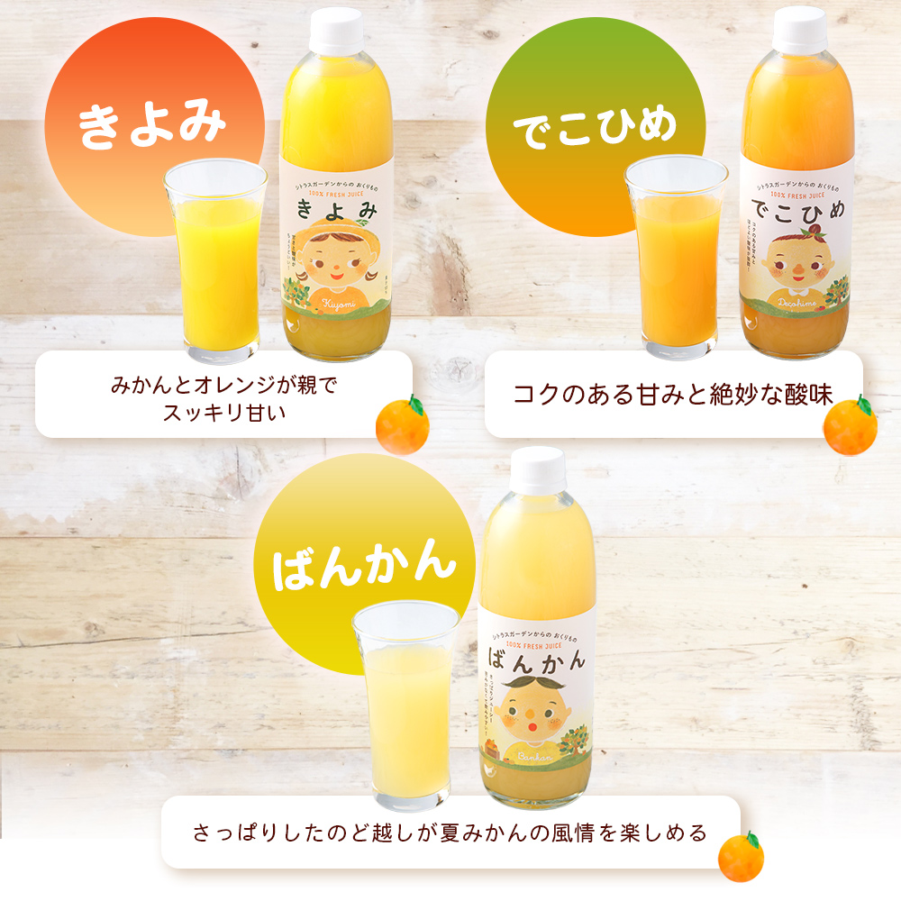 ＜マルワフルーツ柑橘アソート 100％ストレート果汁ジュース (500ml×10本) ＞ 詰め合わせ セット みかん 柑橘 フルーツ 温州みかん 伊予柑 清見 デコヒメ 河内晩柑 特産品 宇都宮物産 愛媛県 西予市