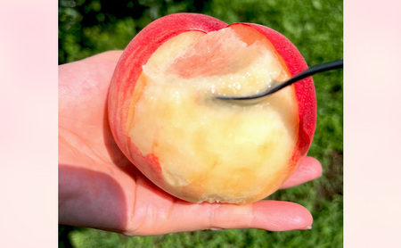 桃　白鳳　約3kg もも フルーツ 果物 お取り寄せ 長野県 山ノ内町