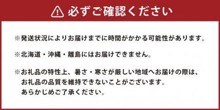 【2024年3月上旬発送開始】たんぼのラン屋さん 胡蝶蘭 白ハーフ21輪以上