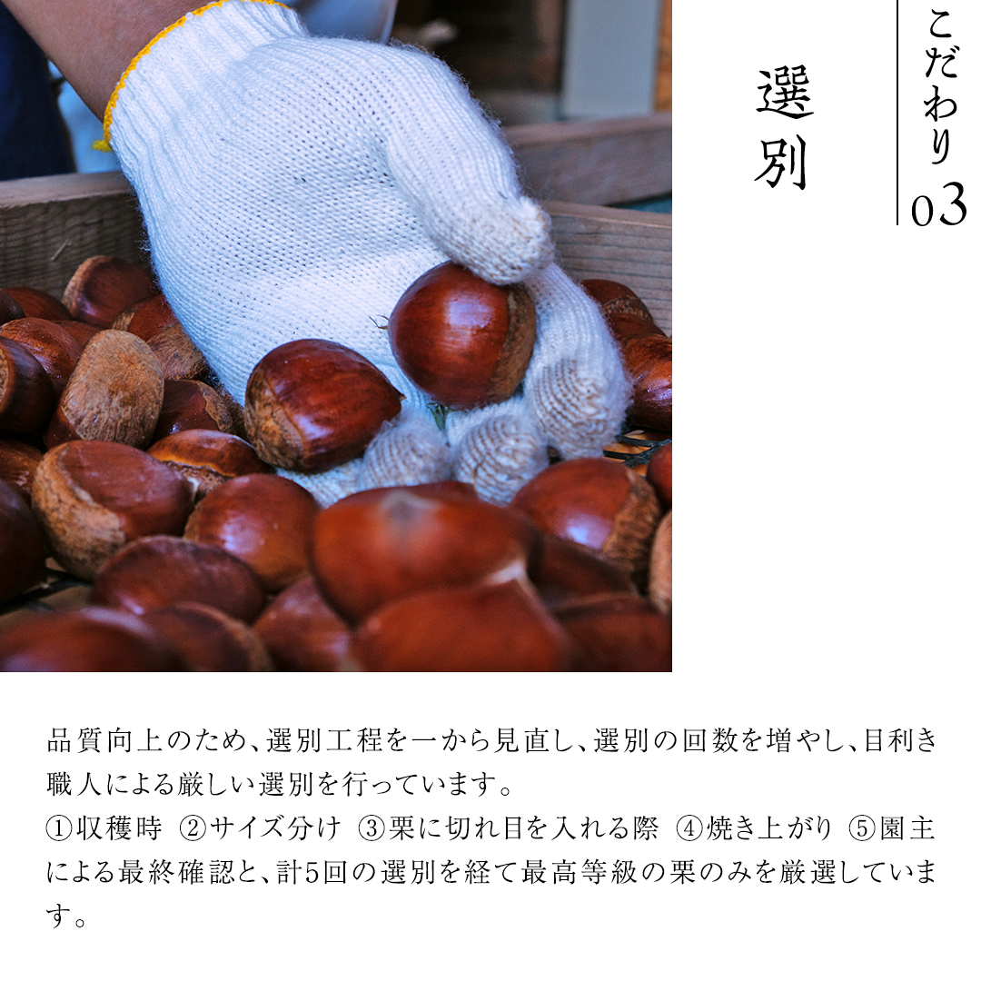 庄七農園 厳選『 最高等級 』氷蔵熟成 焼き和栗 500g 10月下旬発送開始 茨城 お取り寄せ 茨城県産 栗 くり 焼栗 おやつ スイーツ 茨城 和栗 美味しい 果物 フルーツ 庄七農園 [BK15