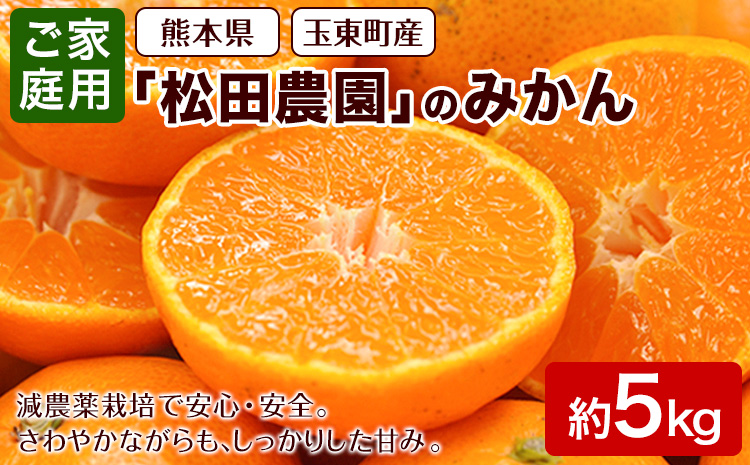 みかん ご家庭用『松田農園』ご家庭用みかん 約5kg(S-2Lサイズ) たっぷり 【日付指定不可】 予約受付中 フルーツ 秋 旬 約5kg 熊本県玉名郡玉東町『松田農園』 こだわり ミカン！ちょこっと 訳あり《10月中旬-12月下旬頃出荷》