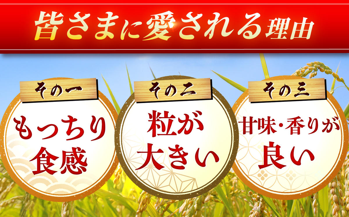 さがびより 10kg（5kg×2袋）【令和7年産】 吉野ヶ里町/増田米穀 [FBM018]