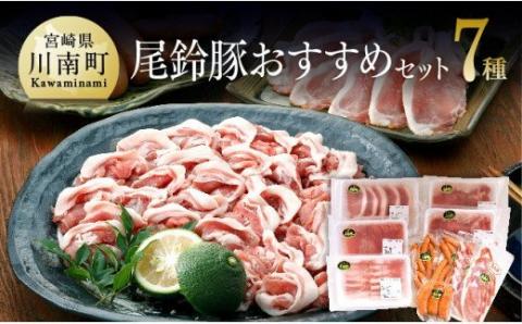 尾鈴豚おすすめセット　豚肉[H0402]