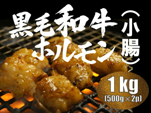 【ふるさと納税】榊山牛 ホルモン焼肉・もつ鍋用（1kg）【榊山牛 焼肉 BBQ お取り寄せ グルメ 贈り物 ギフト】
