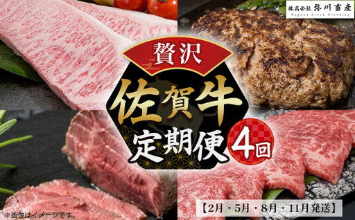 SE1x1 佐賀牛 贅沢！4回定期便【2月・5月・8月・11月発送】佐賀牛 ハンバーグ ローストビーフ サーロイン 佐賀県 太良町