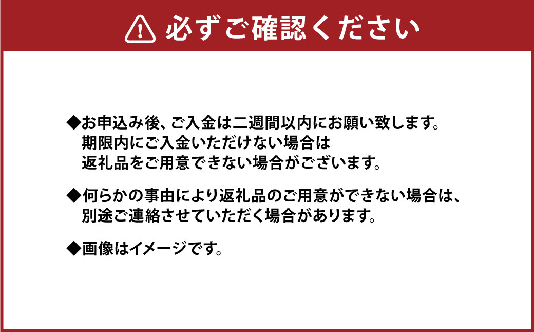 パール柑 約5kg 訳あり