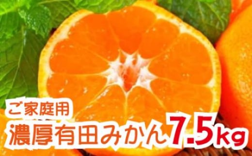 農園直送！完熟有田みかん　7.5kg  ＜11月発送（11月上旬～11月下旬）＞※北海道・沖縄・離島配送不可