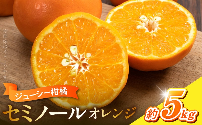 
                  2027年先行予約 ジューシー柑橘 セミノールオレンジ 約5kg 甘味 酸味 凝縮 しっかりとした味わい 濃厚な味 果汁 ゼリー シャーベット ジュース 色 鮮やか 香り 爽やか フルーツ 果物 果実 デザート お取り寄せフルーツ 和歌山県 湯浅町 送料無料_G7373
                