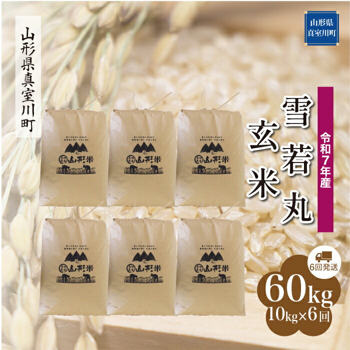 【ふるさと納税】 令和7年産 真室川町厳選 雪若丸 ［玄米］ 60kg 定期便（10kg×6回お届け）