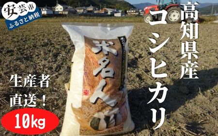 コシヒカリ 新米 10kg こしひかり 令和7年産 精米 AS013