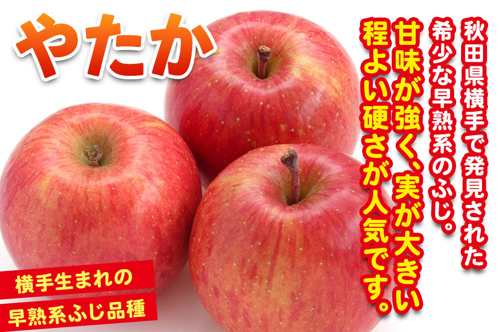 【先行受付 9月下旬より発送】りんご やたか 約3kg（8～11玉） [先行予約 りんご やたか 林檎 アップル 赤 果実 果物 フルーツ 美味 おいしい]