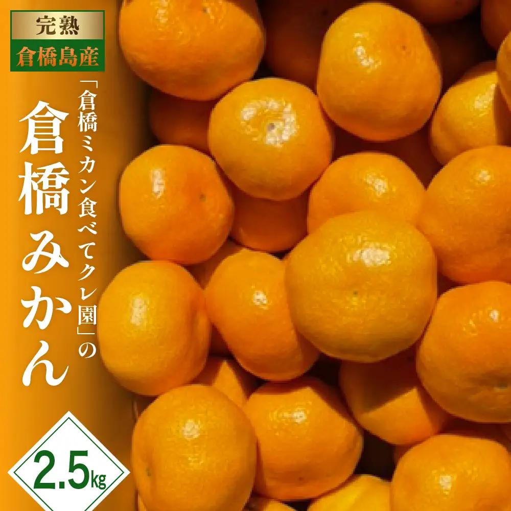 【先行受付】【2026年11月初旬～発送】倉橋ミカン食べてクレ園 倉橋みかん 約2.5kg