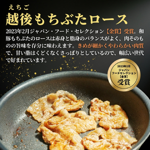 越後もちぶたロース薄切り1kg(500g×2パック)【配送不可地域：離島】【1595585】