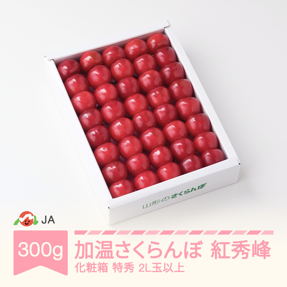 
            先行予約 加温ハウス さくらんぼ 紅秀峰 300g 化粧箱 特秀2L玉以上 2026年産 令和8年産 早出し ja-bskxx300
          