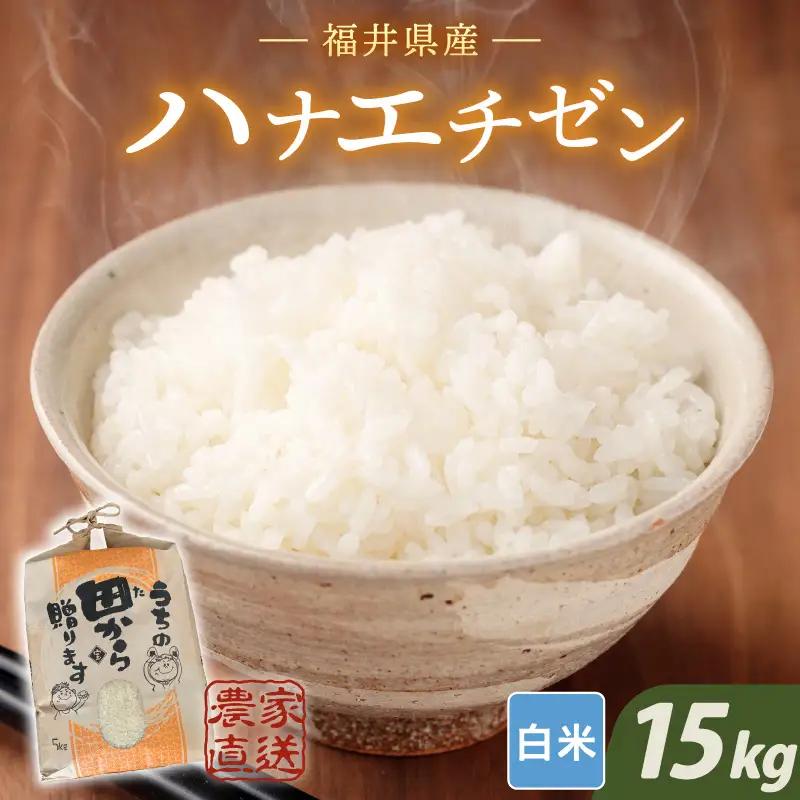 【令和8年産・新米】 ハナエチゼン15kg(5kg×3袋) ～本原農園からまごころコメて～（白米）[B-8955_01]