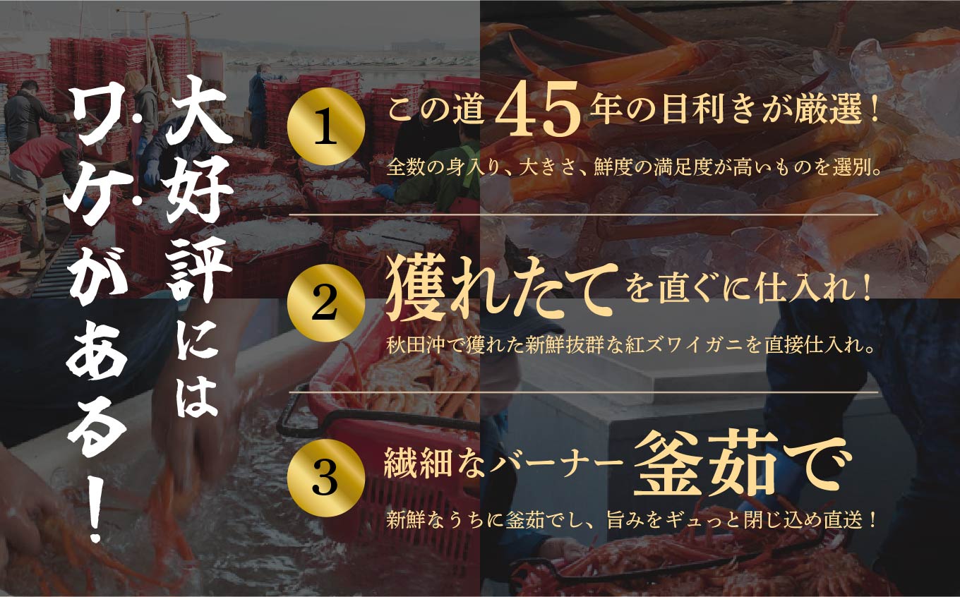 日本海沖産 紅ズワイガニ600g前後×2匹 約1.2kg/冷凍