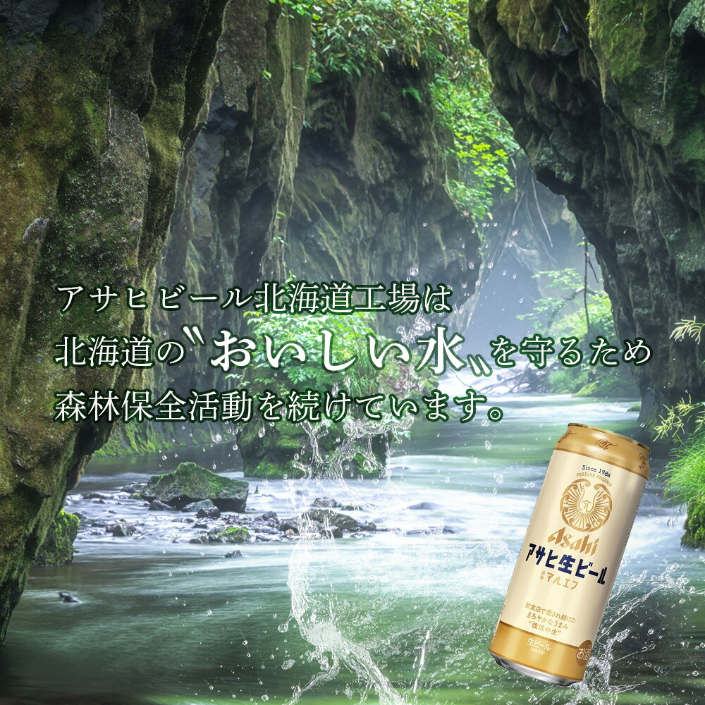 【定期便 12ヶ月】アサヒ生ビール≪マルエフ≫＜500ml缶＞24缶入り2ケース 北海道工場製造
