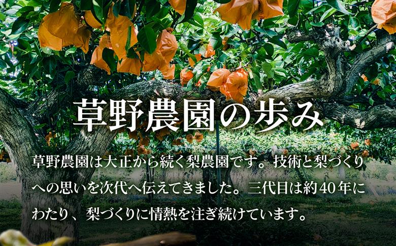 【先行予約】福島県いわき市産 梨(豊水) 約3kg | 梨 豊水 いわき市産 草野農園 約3kg 先行予約 期間限定 果物 フルーツ 和梨 国産 新鮮 産地直送 甘い 濃厚果汁 ジューシー 瑞々しい 