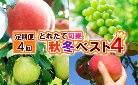 【定期便4回】とれたて旬果 秋冬ベスト4 FY25-019