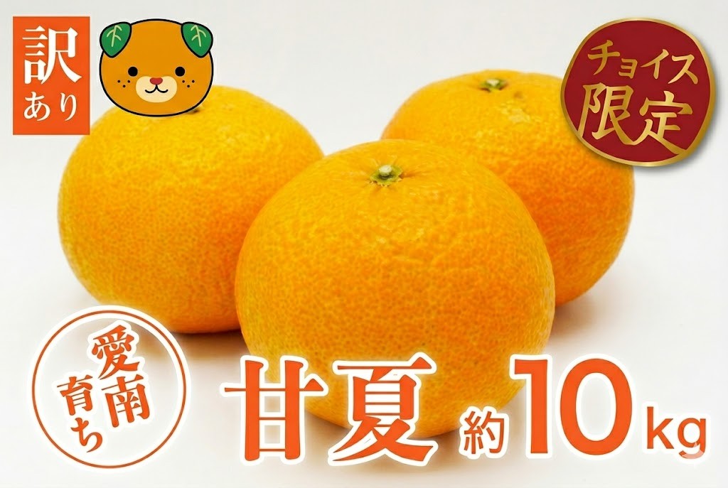 
                  【チョイス限定】【先行予約】訳あり 甘夏 10kg 7000円 みかん あまなつ 夏みかん グレープフルーツ だいだい 受付 産地直送 国産 農家直送 糖度 果樹園 期間限定 特産品 ゼリー マーマレード ピール ジュース デザート 人気 甘い おいしい フルーツ 果物 柑橘 蜜柑 愛南町 愛媛県 吉田農園
                