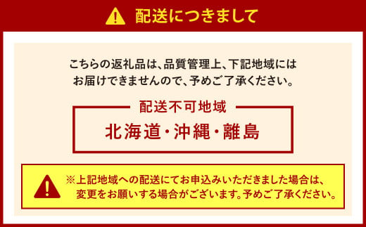 福岡県北九州市若松産【優等品】若松クイーン 10kg以上(2kg以上3玉入り～4玉入り)