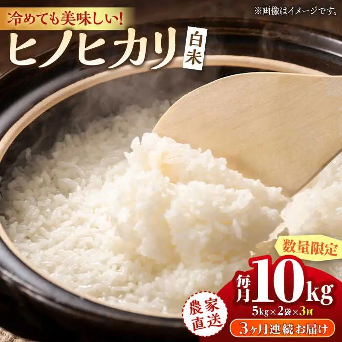 〈令和7年度産米〉【3回定期便】 ヒノヒカリ 白米 10kg（5kg×2袋）【竹下農園】[ZEL005]