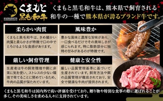 A4〜A5等級 黒毛和牛 切り落とし 上 カルビ 焼肉 切り落とし 600g 《30日以内に出荷予定(土日祝除く)》くまもと黒毛和牛 熊本県 産山村 上カルビ 焼肉用 黒毛和牛 焼肉 肉 お肉 和牛 