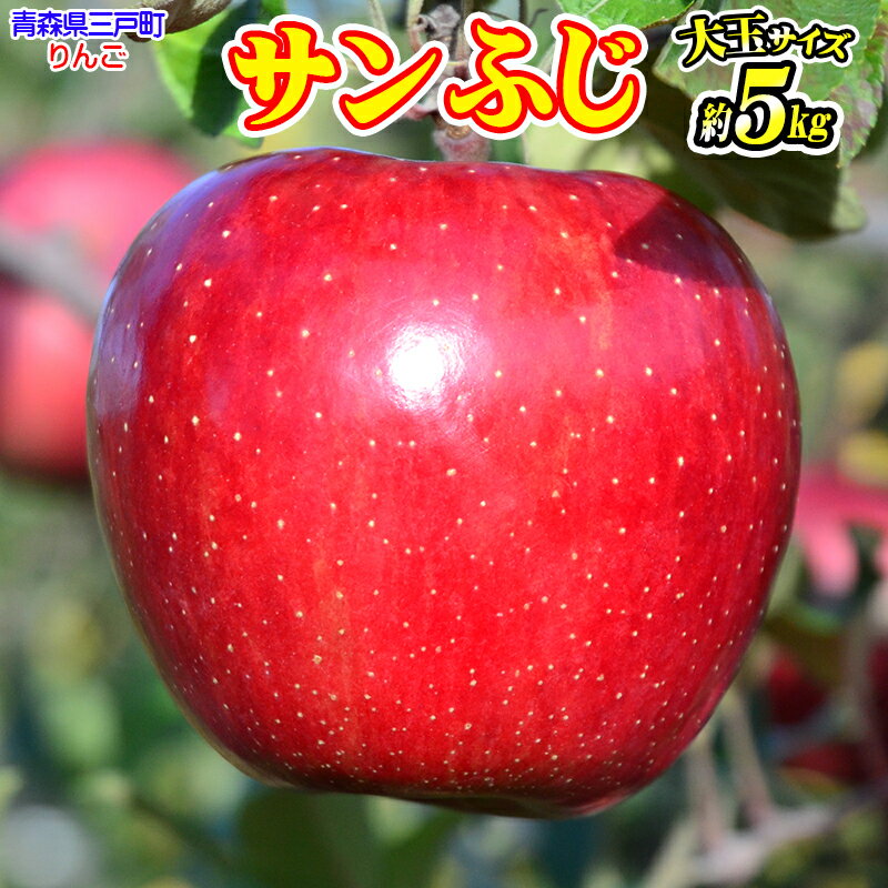 【ふるさと納税】人気No.1 青森りんご【サンふじ】約5kg（12～14玉・大玉サイズ）【2025年産・先行予約】★2025年12月上旬～12月下旬頃発送予定★アップル 林檎 フルーツ 果物 果実 青森県 青森県産 三戸 三戸町 贈答 ギフト プレゼント 産地直送 農家直送 送料無料