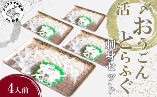 
            活〆おうごんとらふぐ刺身4人前セット( 活〆 おうごんとらふぐ とらふぐ 刺身 高品質 養殖 高評価 )【C6-015】
          