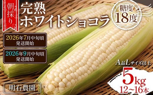 
            【発送時期が選べる】【先行予約 2026年度発送】 ＜朝採り＞ 完熟ホワイトショコラ 明石農園 糖度18度 5kg とうもろこし 山形県産 A品 Lサイズ以上 FSY-1294
          