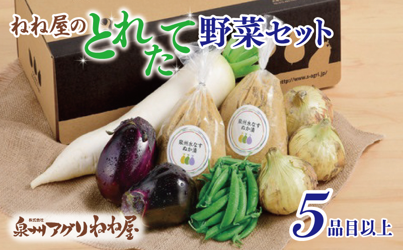 
ねね屋のとれたて野菜セット 5品目以上 詰め合わせ

